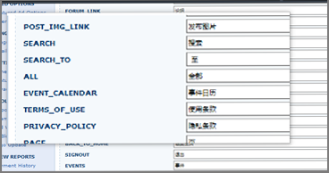 Multi-language support interface showing language selection and translation options